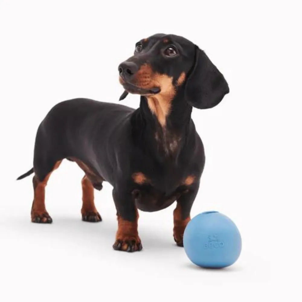 BeCo - Natural Rubber - Wobble Ball