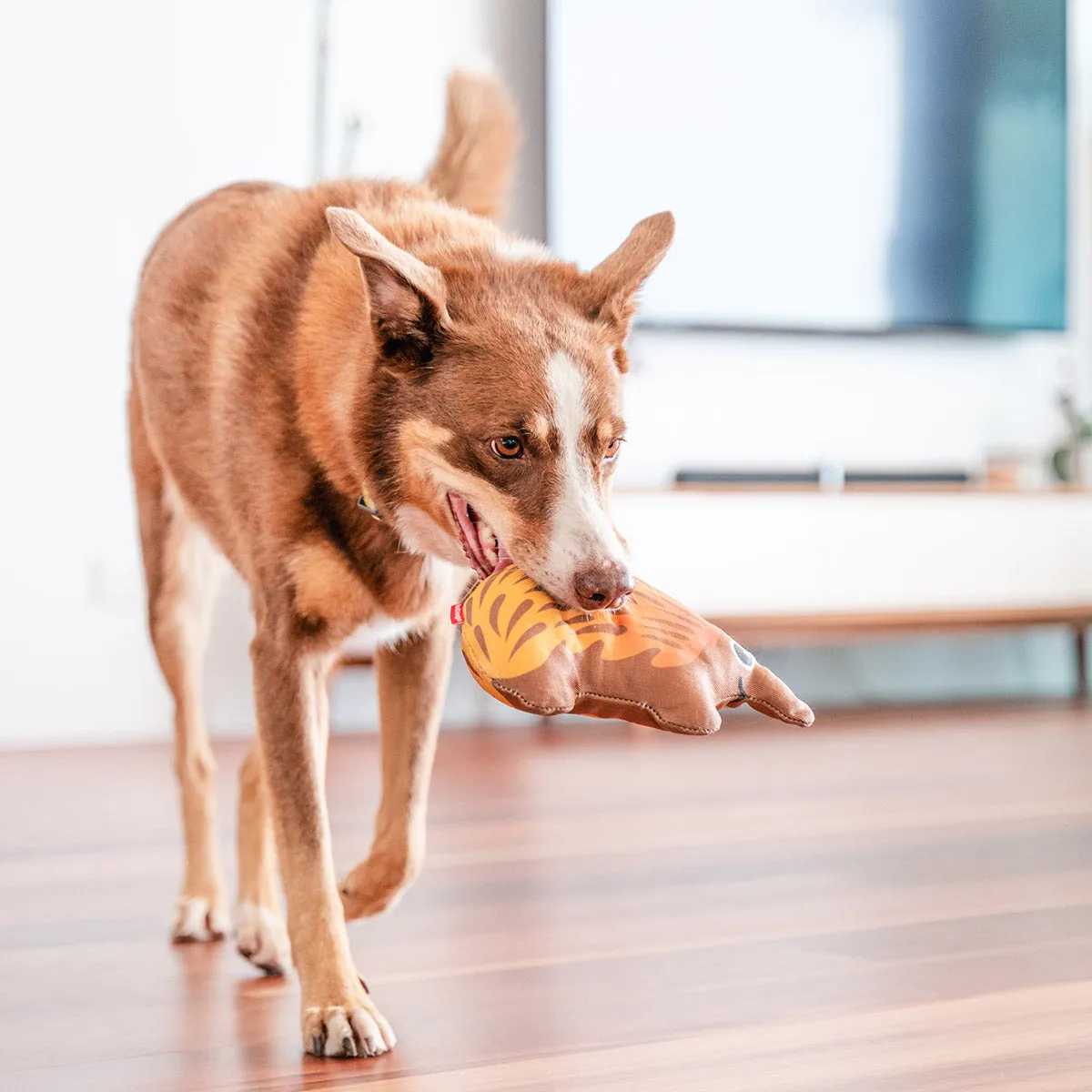 Durables Eddie The Echidna Dog Toy